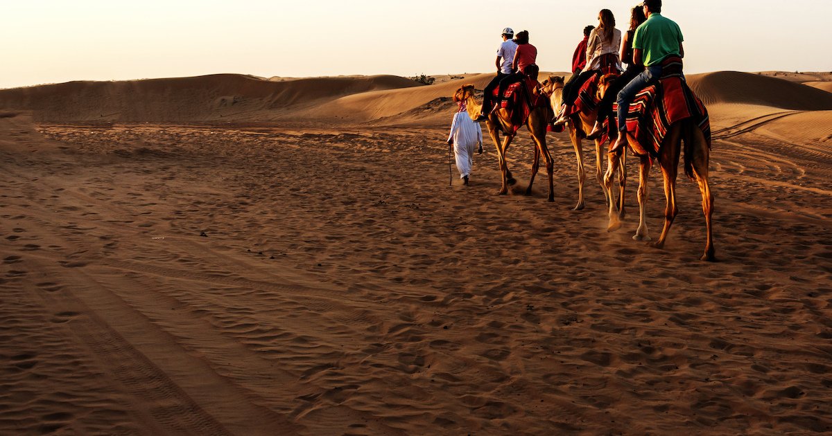 Desert in Dubai, UAE